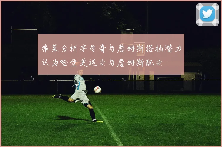 弗莱分析字母哥与詹姆斯搭档潜力认为哈登更适合与詹姆斯配合